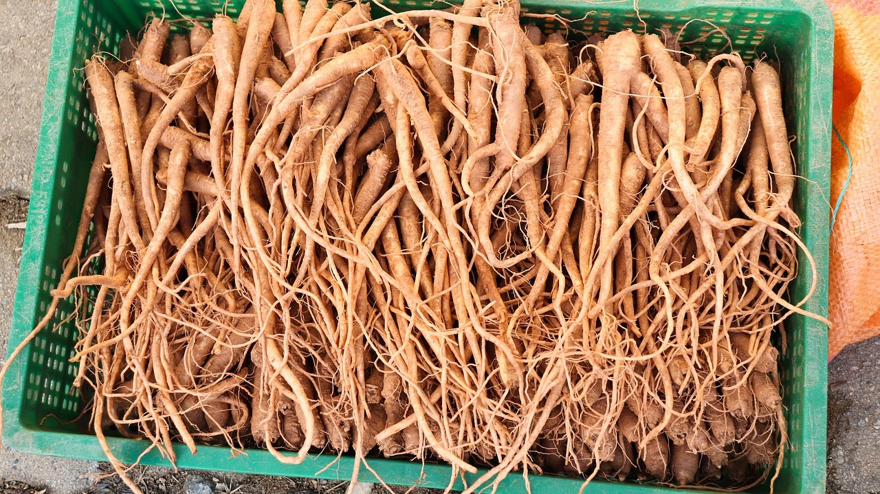 Bellflower Root Namul - Doraji-namul