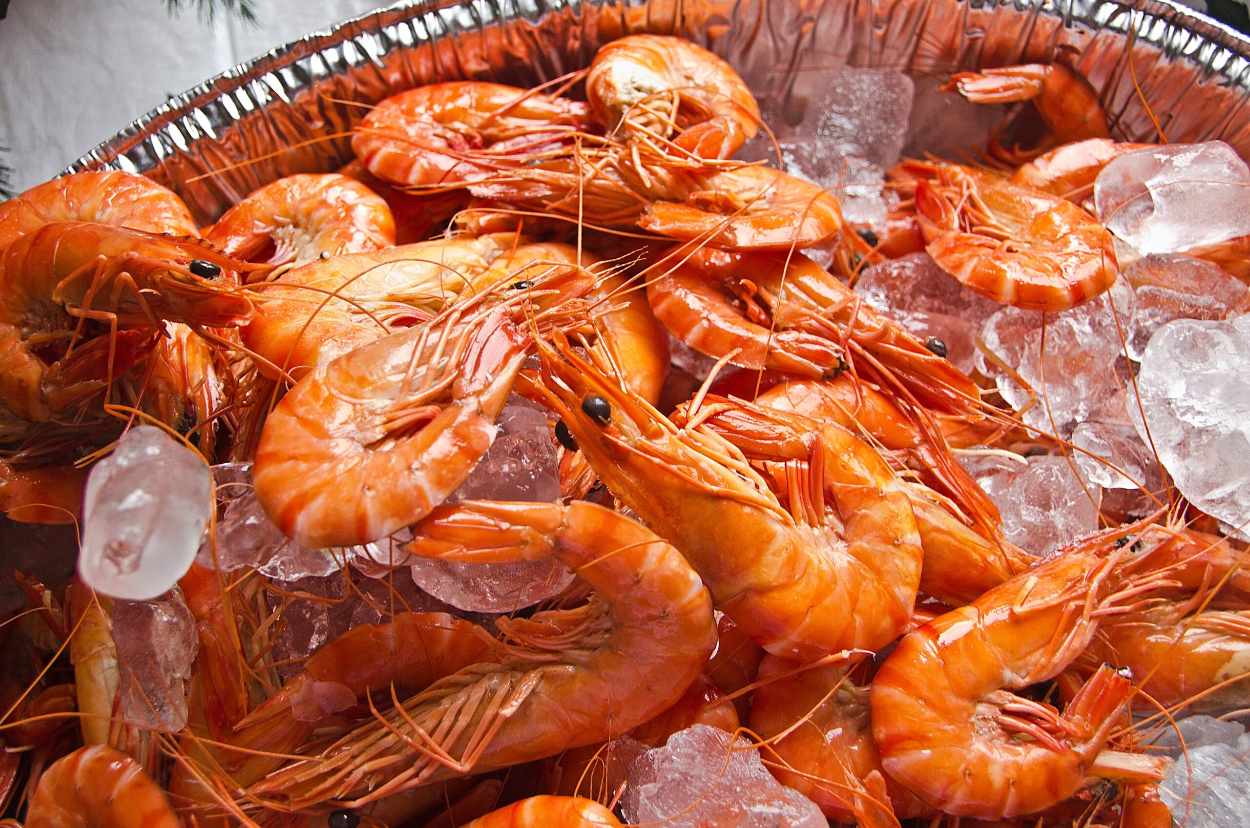 Crustaceans, shrimp, mixed species, cooked, moist heat