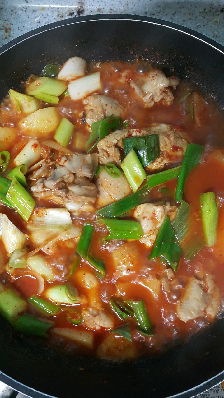Kimchi Jjiggae (Kimchi Stew) Version 1