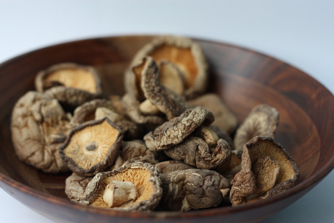 Mushrooms, shiitake, dried