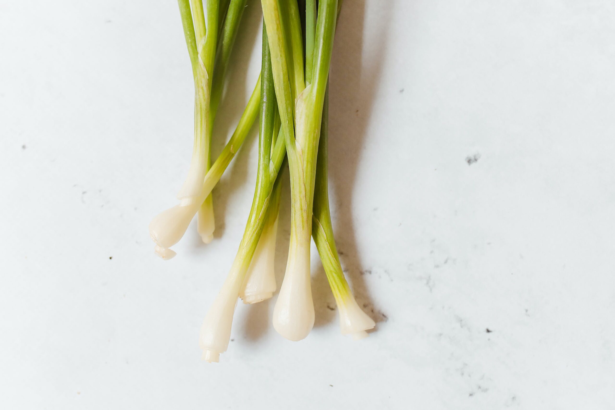 Onions, green, spring or scallions (includes tops and bulb), raw