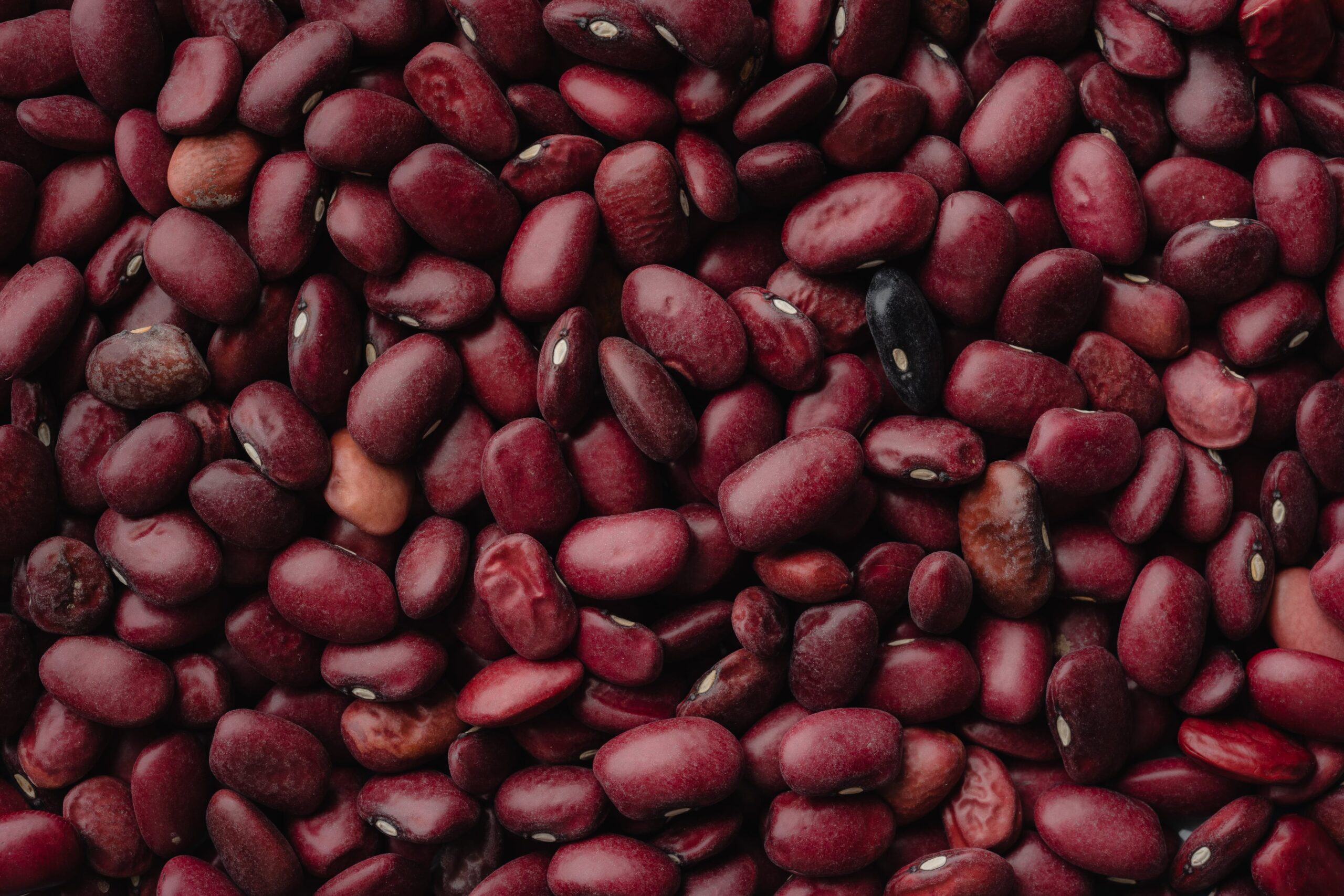 Preparing Basic Ingredients Red beans