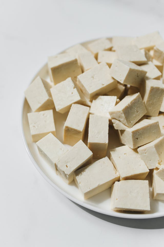 Soybean Curd – Dubu – Tofu