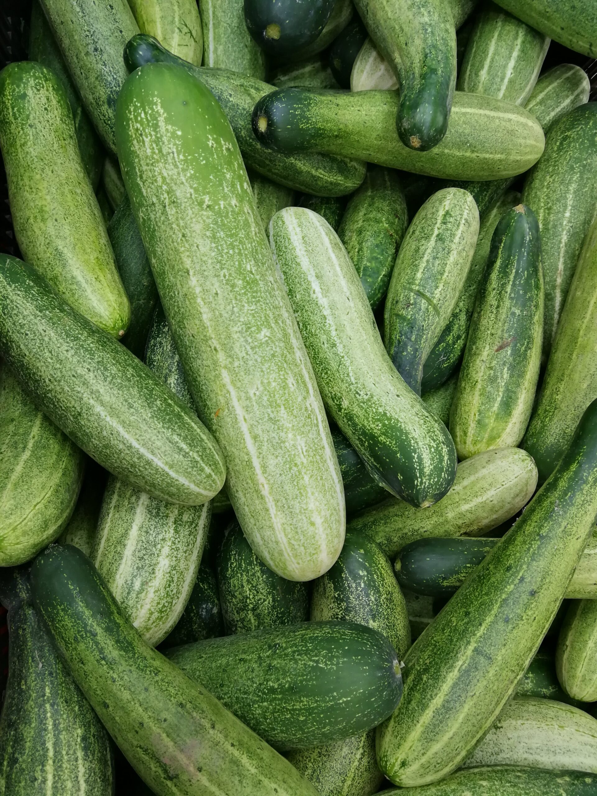 Weight Equivalents Cucumber