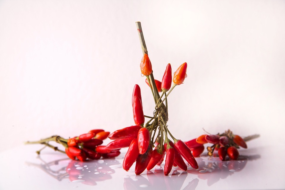 Guide to Chili Peppers