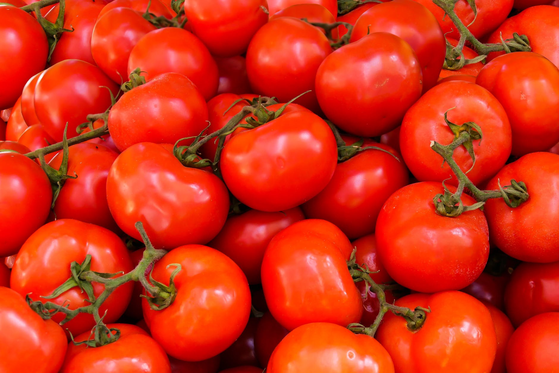 Guide to Different Kinds of Tomatoes
