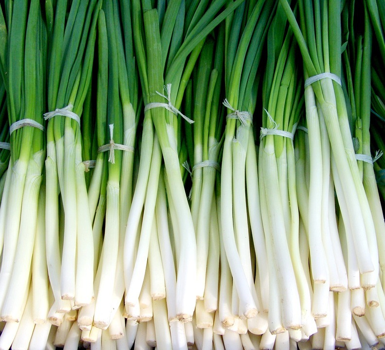 Guide to Growing Green Onions