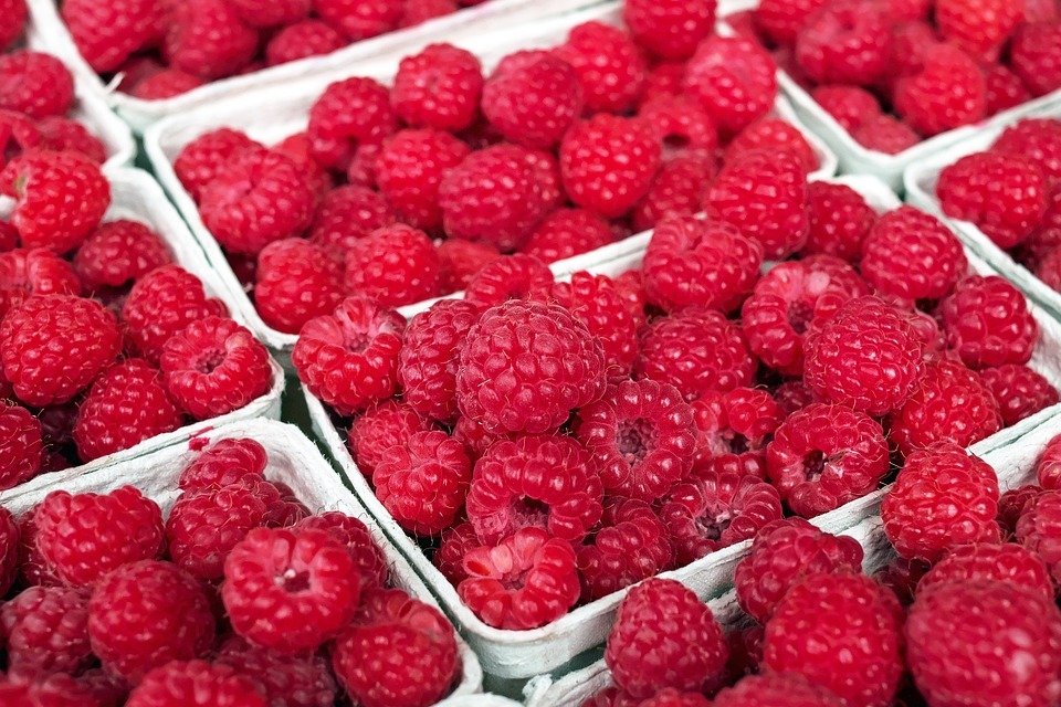 raspberry fruits in a tray
