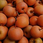 Guide to Types and Varieties of Nashi or Asian Pear