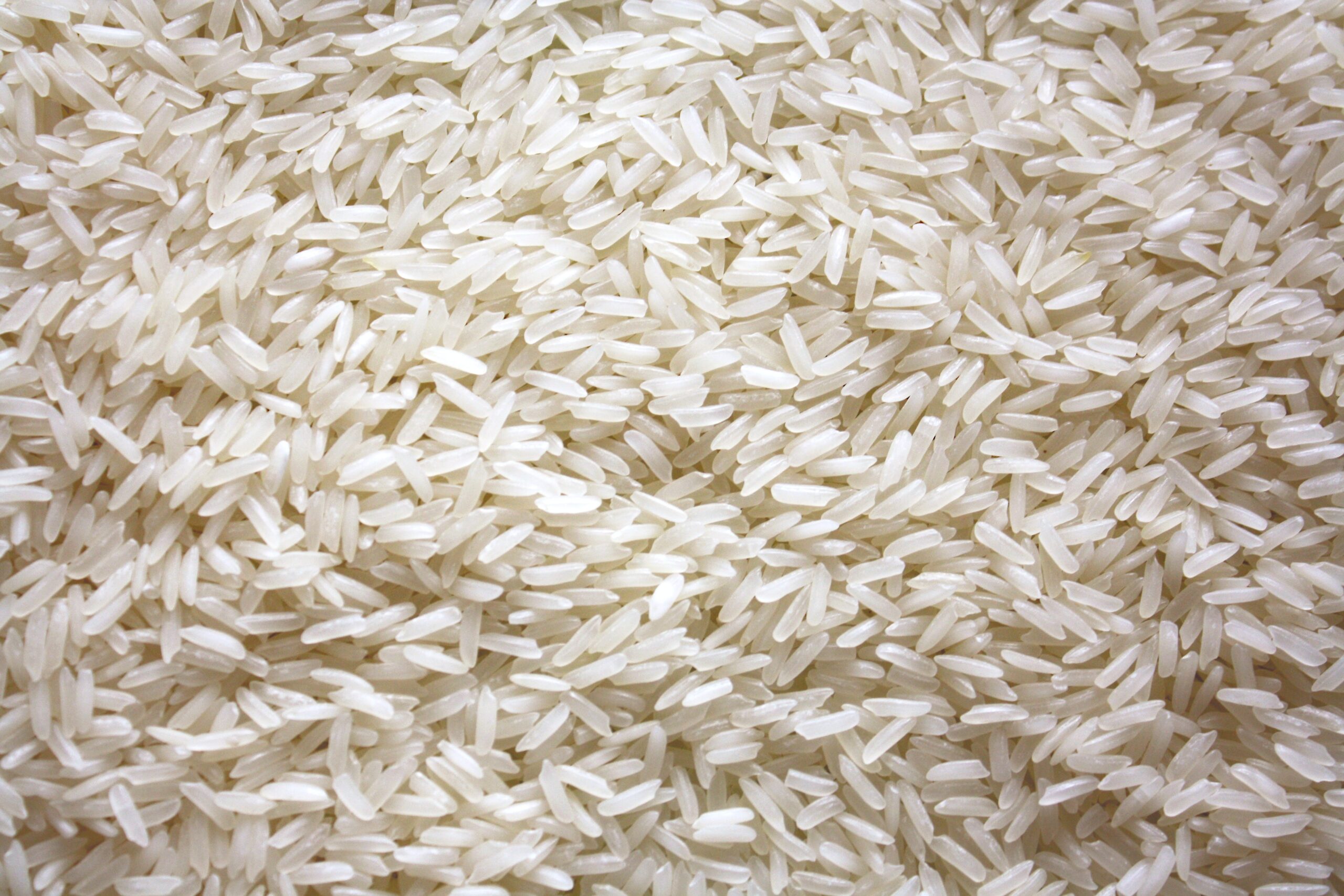 What are the different types of rice