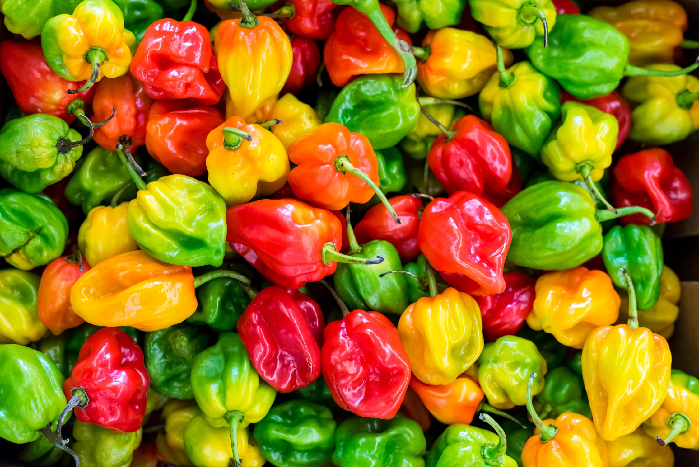 5 Habanero Flavored Items to Try Now