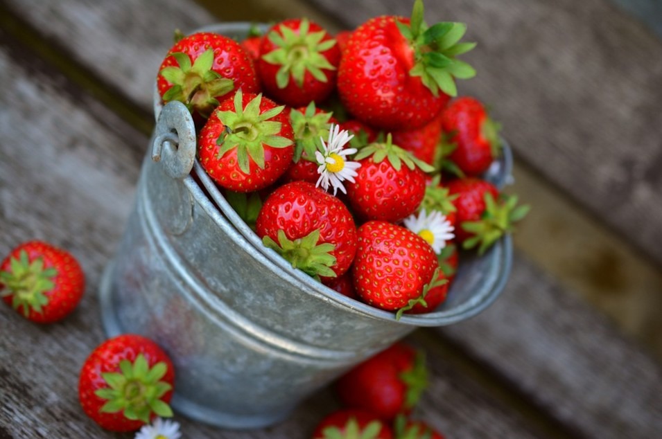 a bucket full of strawberries