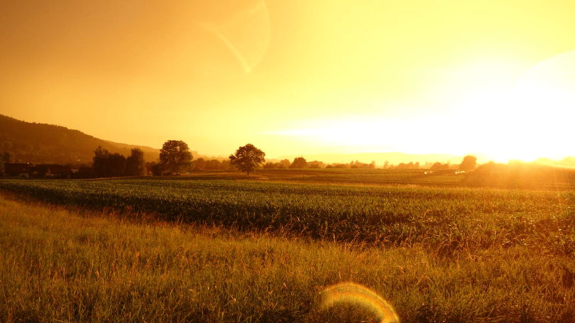Picture of agricultural fields and sunsetting over it.