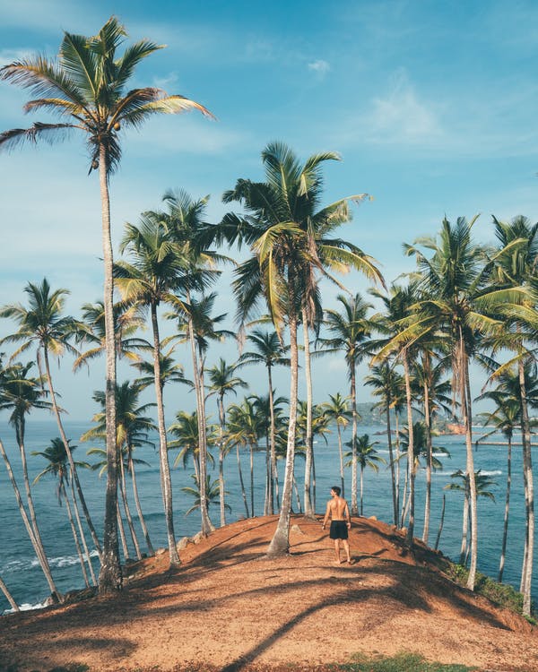 Why Should You Plan a Trip to Goa