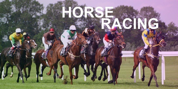 Horse Racing Rules – What Are The Major Rules for Horse Racing