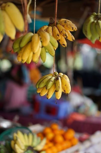 hanging bananas, oranges, fruit stall