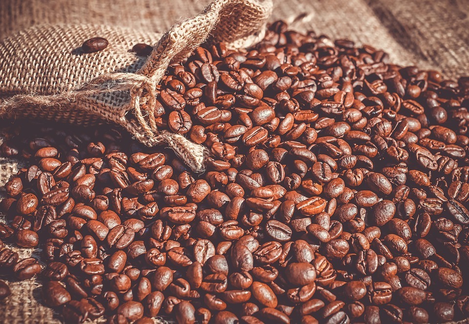 4 Things to Know About Coffee Beans