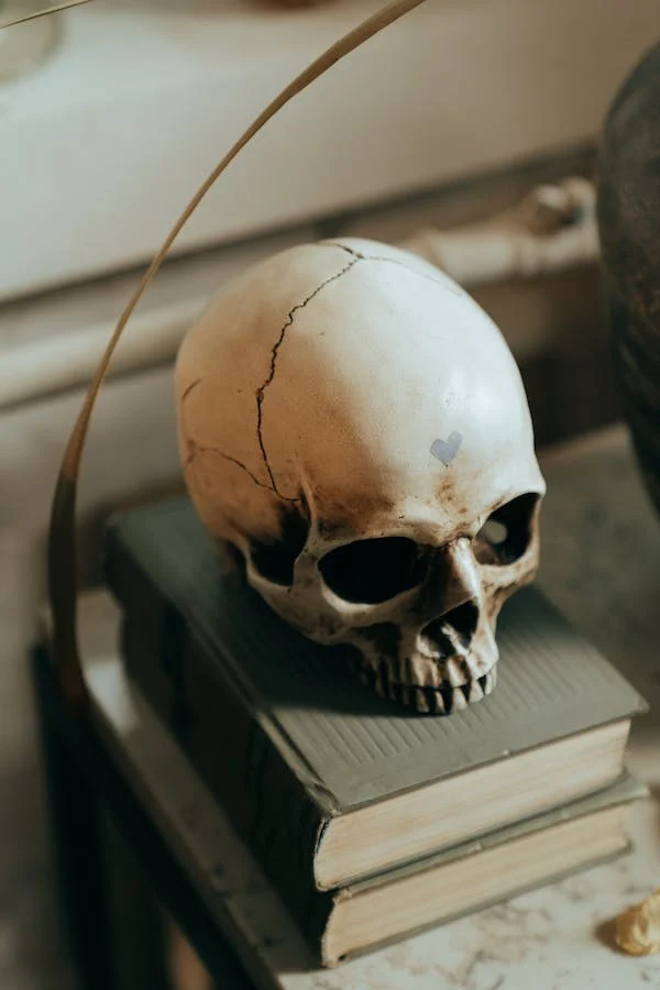 6 Tricks to Creating Suspense in Your Horror Book