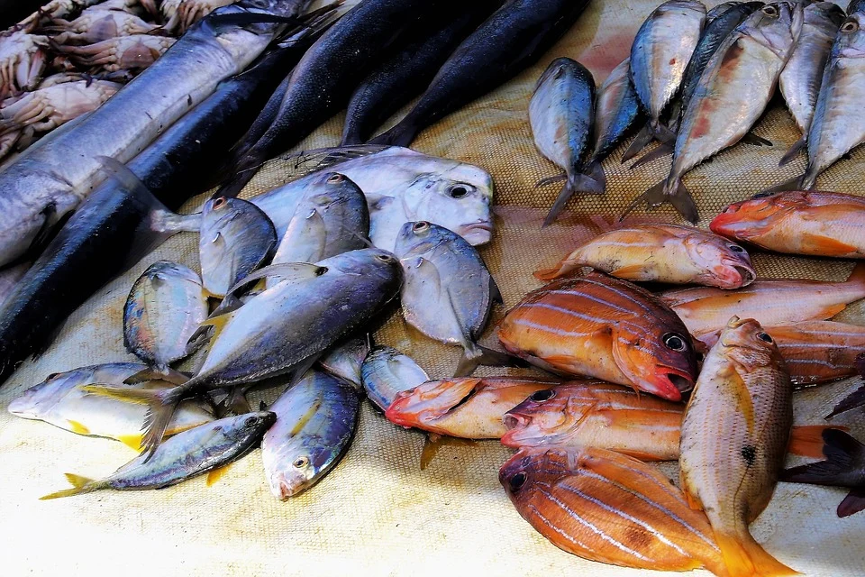 5 Fish You Should Be Eating for a Healthier and Happier Life