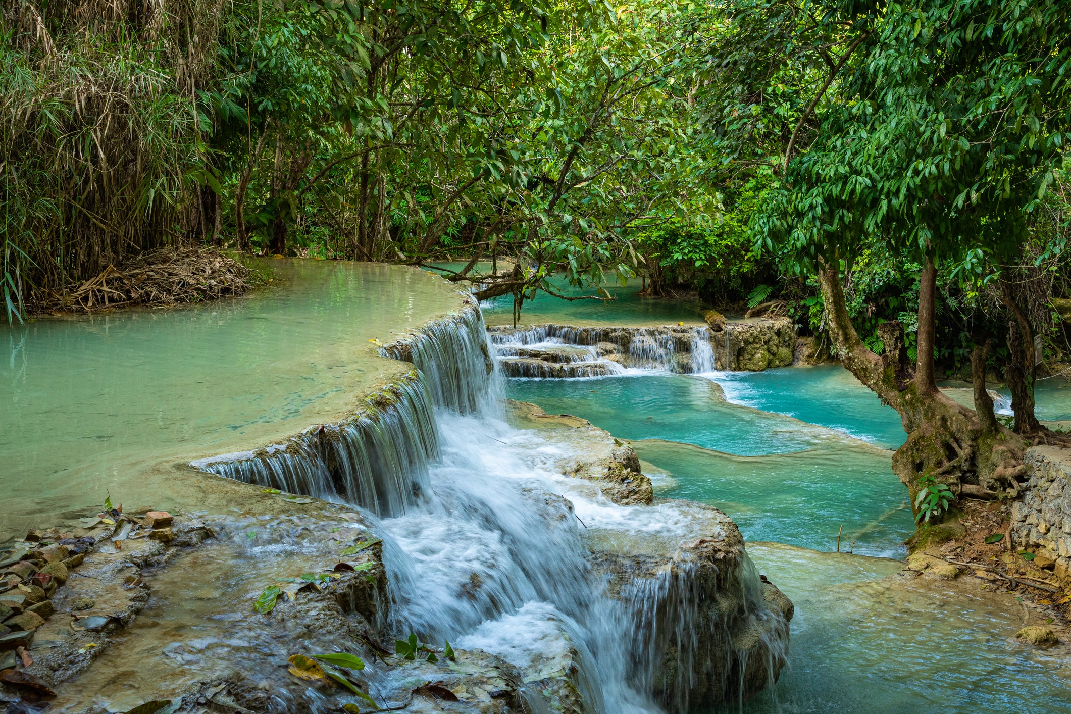 turquoise-water-of-kuang-si-waterfall-luang-prabang-laos-tropical-rainforest